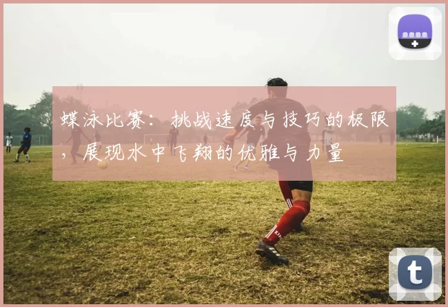 蝶泳比赛：挑战速度与技巧的极限，展现水中飞翔的优雅与力量
