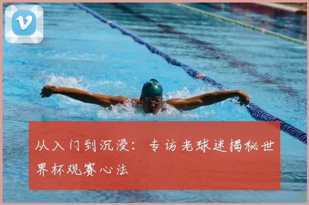 从入门到沉浸：专访老球迷揭秘世界杯观赛心法
