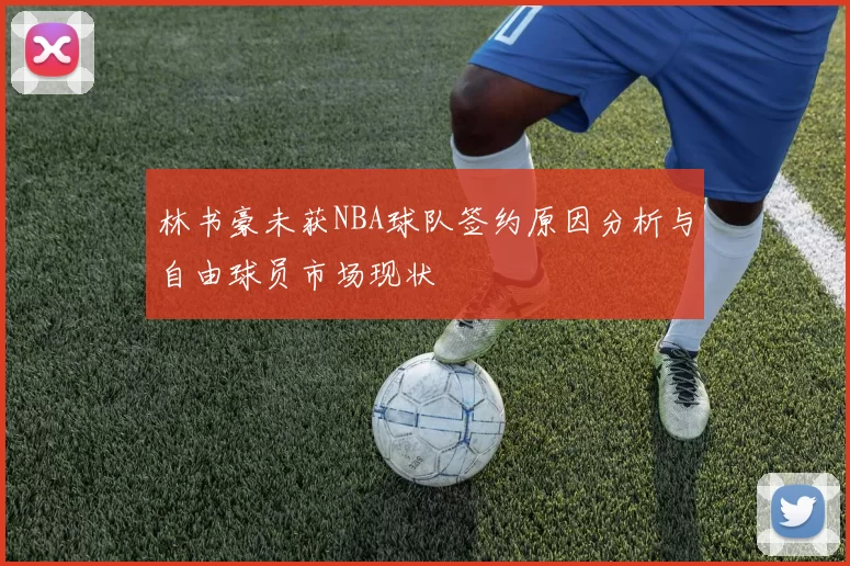 林书豪未获NBA球队签约原因分析与自由球员市场现状