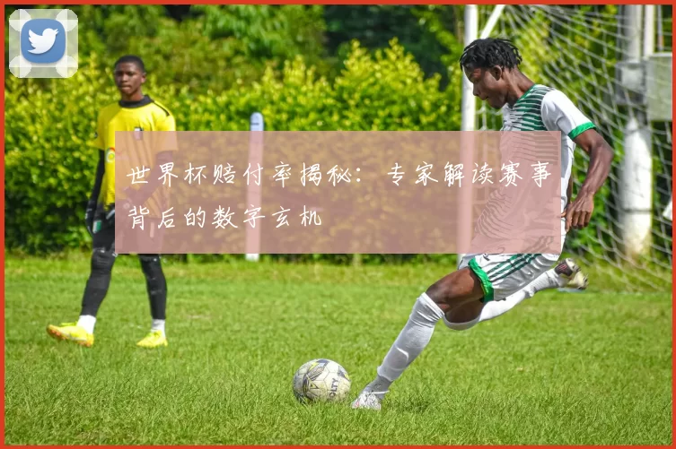 世界杯赔付率揭秘：专家解读赛事背后的数字玄机