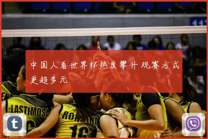 中国人看世界杯热度攀升 观赛方式更趋多元