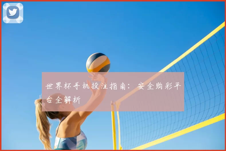 世界杯手机投注指南:安全购彩平台全解析
