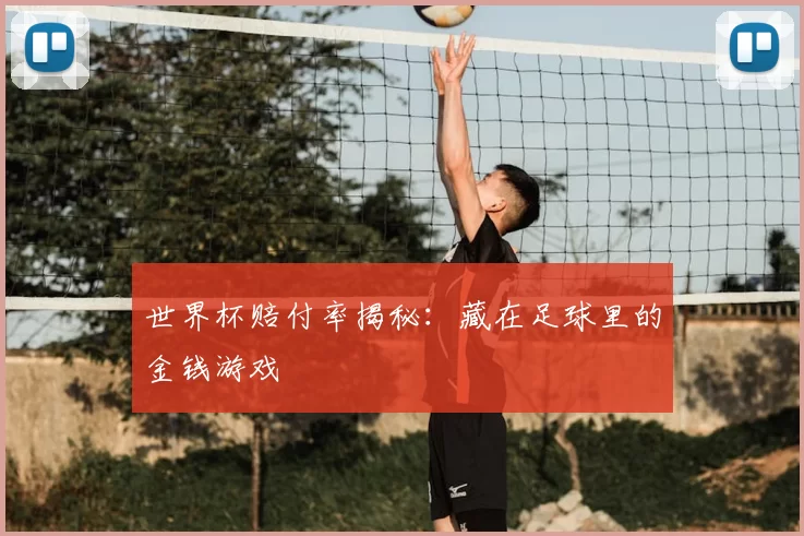 世界杯赔付率揭秘:藏在足球里的金钱游戏