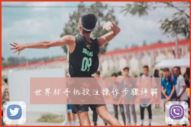 世界杯手机投注操作步骤详解