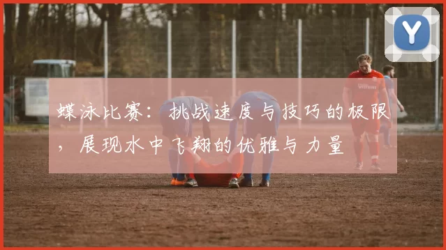 蝶泳比赛：挑战速度与技巧的极限，展现水中飞翔的优雅与力量