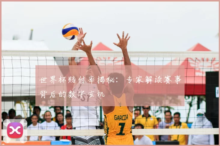 世界杯赔付率揭秘：专家解读赛事背后的数字玄机