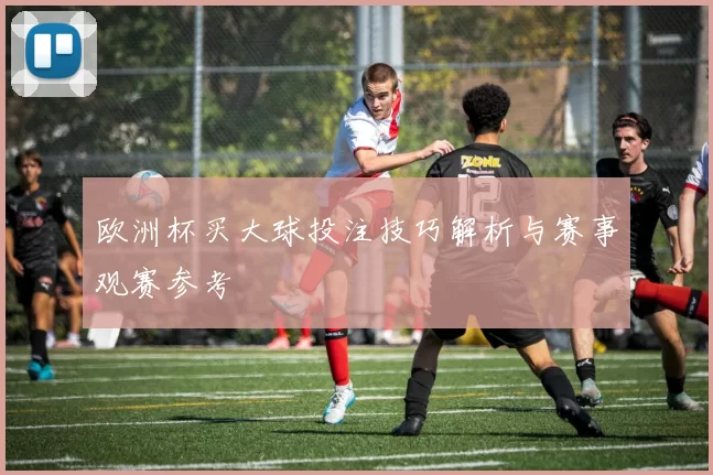 欧洲杯买大球投注技巧解析与赛事观赛参考
