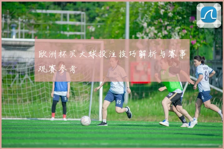 欧洲杯买大球投注技巧解析与赛事观赛参考