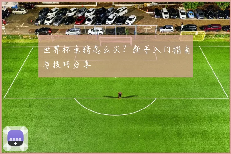 世界杯竞猜怎么买?新手入门指南与技巧分享