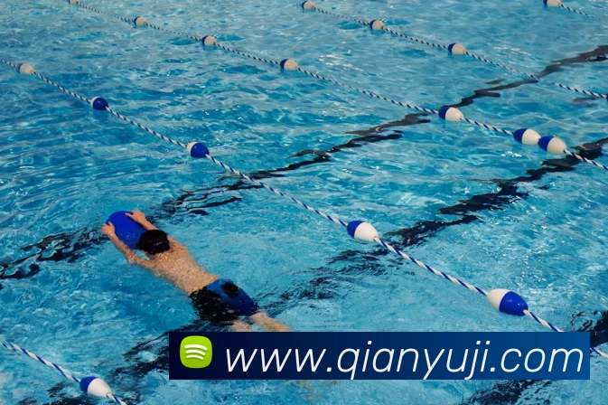 乐鱼体育服务体系